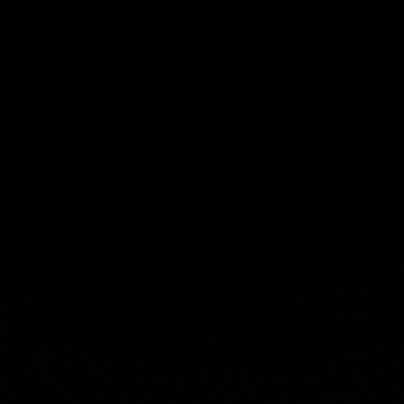 Meet your Posher, Jasmine - Picture 1 of 1